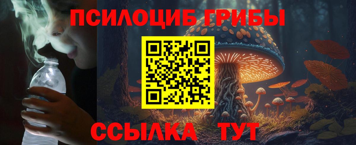 цена   Галлюциногенные грибы GOLDEN TEACHER  Вход с VPN  Всеволожск 